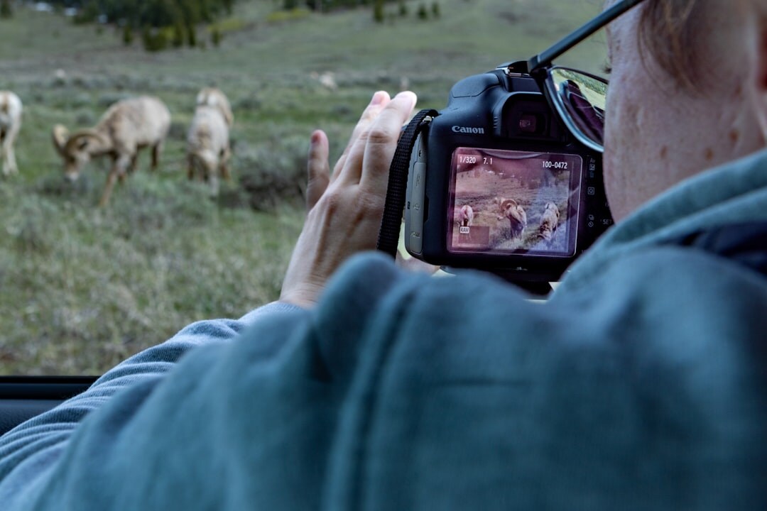 Documentary filmmaker interviewing a subject outdoors in nature
